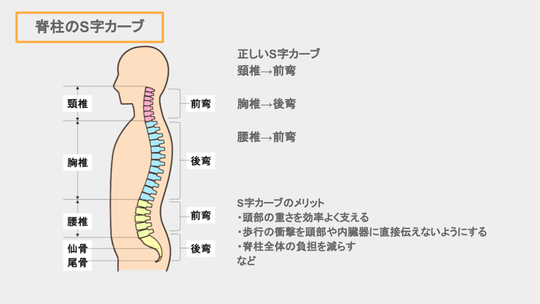 https://blueprint-pilates.jp/_p/acre/23108/images/pc/smart_phone_5dbf0a91.png